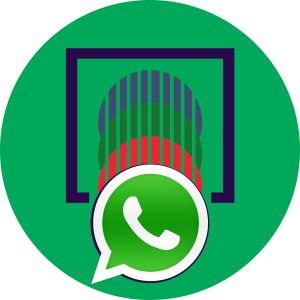 Grupo Oficial Interação